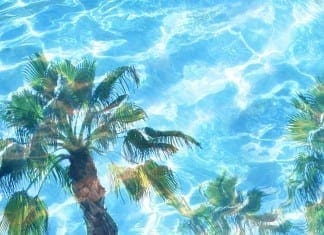 Coconut Oil Post - Palm