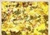 coconut-oil-post-cauliflower-pizza-base