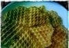 coconut-oil-post-gluten-free-waffles