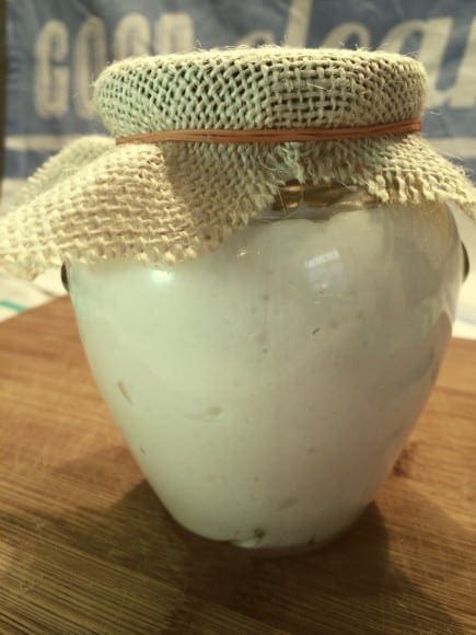 coconut oil post whipped coconut butter 2