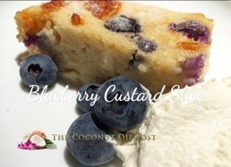 coconut oil post blueberry custard slice web