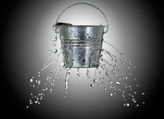 Leaky Gut Syndrome
