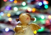 cop-6-tips-to-survive-the-festive-season