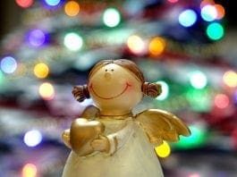 cop-6-tips-to-survive-the-festive-season