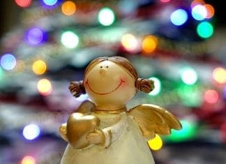 cop-6-tips-to-survive-the-festive-season