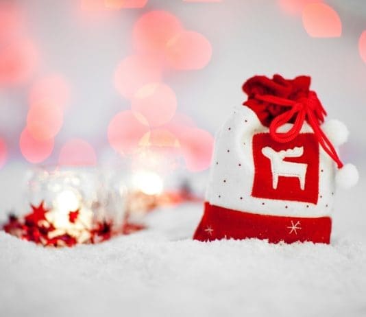 COP 12 DIY Festive Season Gift Ideas